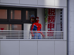 税理士　かなりオルタナ系