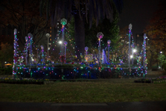 Handmade ”Luminarie”
