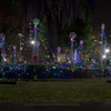 Handmade ”Luminarie”