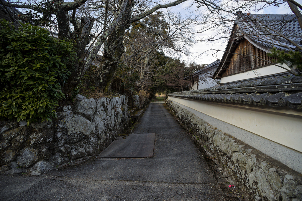 tiny-nomad 018-100 : COUNTRY ROAD