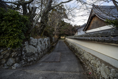 tiny-nomad 018-100 : COUNTRY ROAD