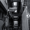 wakayama statics