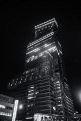 tiny-nomad 051-100 : 300M HIGHT