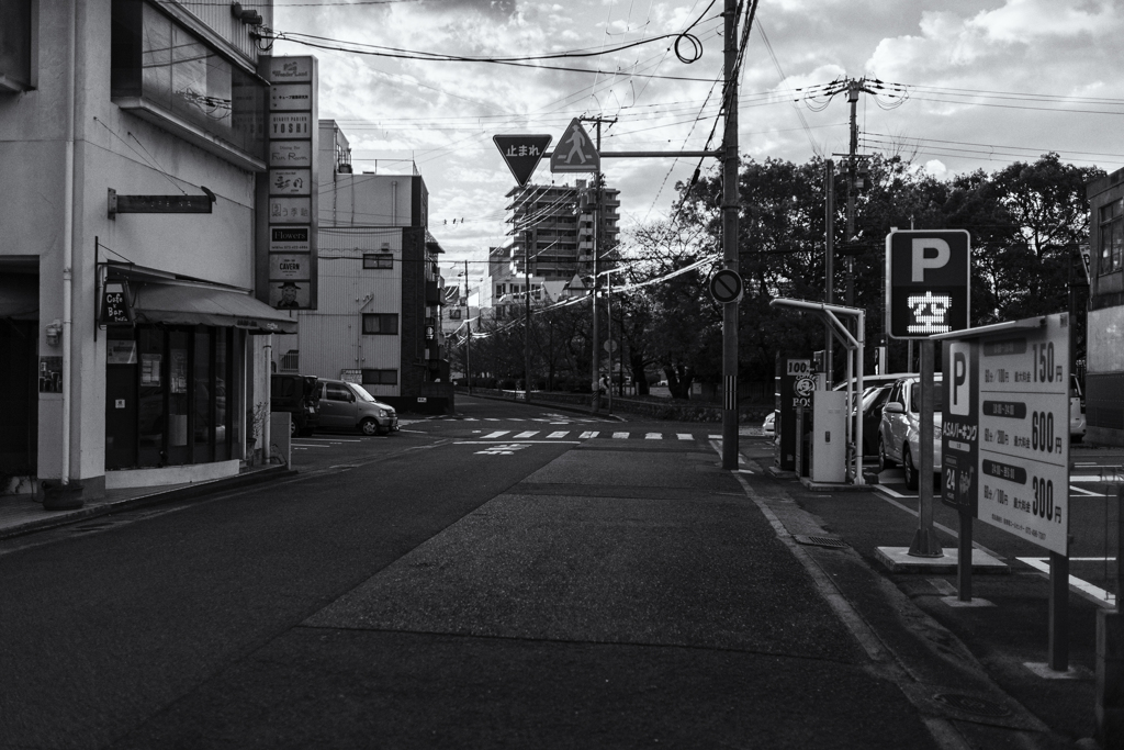 wakayama statics