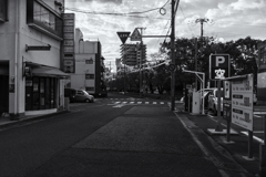 wakayama statics