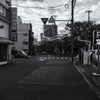 wakayama statics