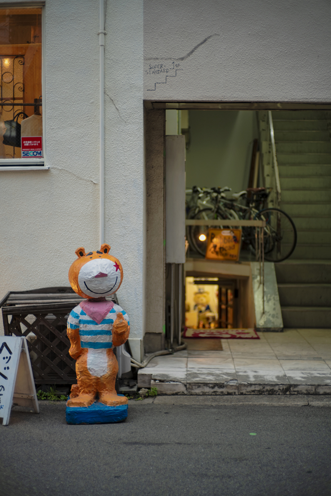 Minami-Semba Bear