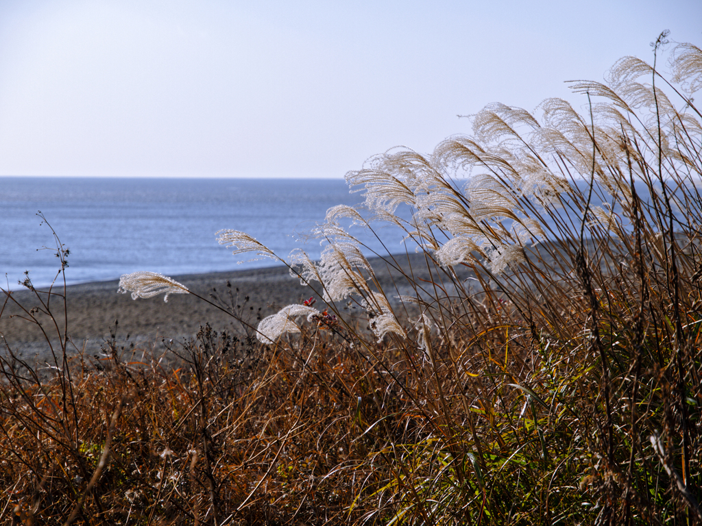 Kumano explorer, to be continued