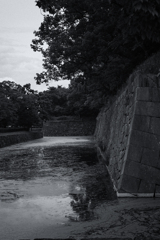 monochrome