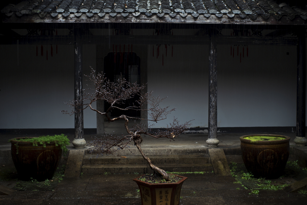 rainfall