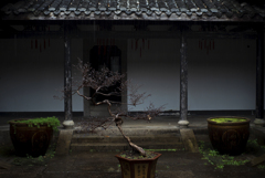 rainfall
