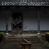 rainfall