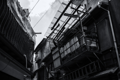 contemporary osaka