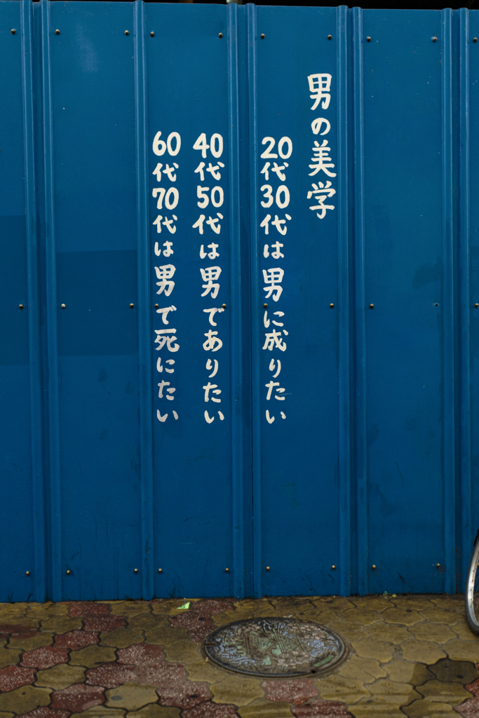 一枚二枚で町は写せない　