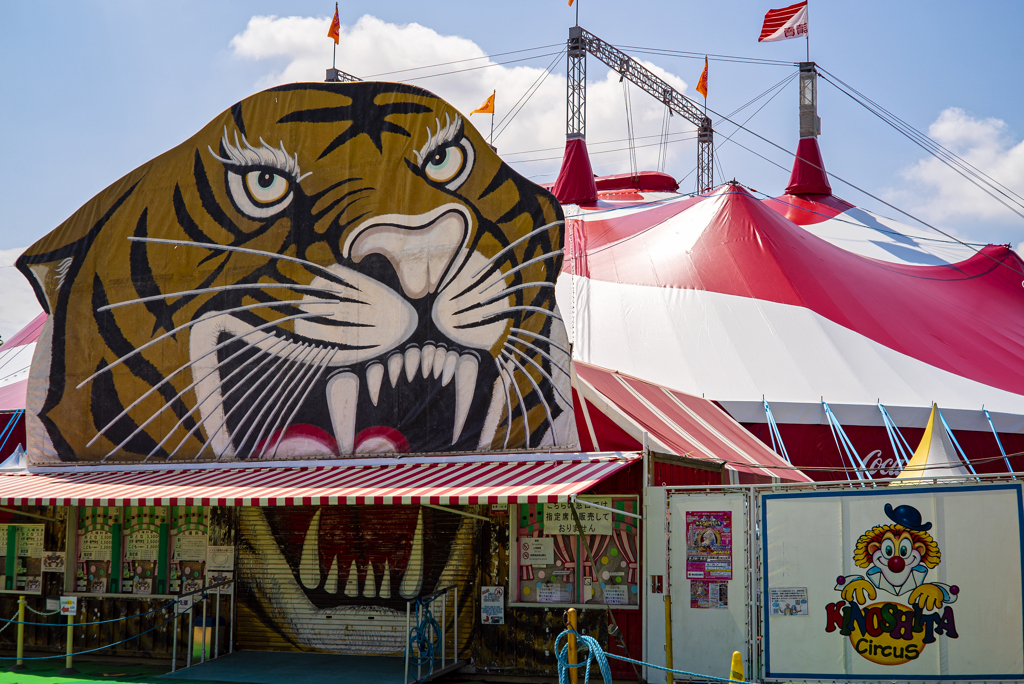 tiny-nomad 056-100 : CIRCUS