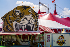 tiny-nomad 056-100 : CIRCUS