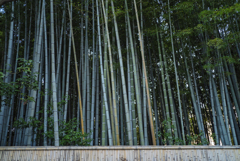 紫野・大徳寺かいわい