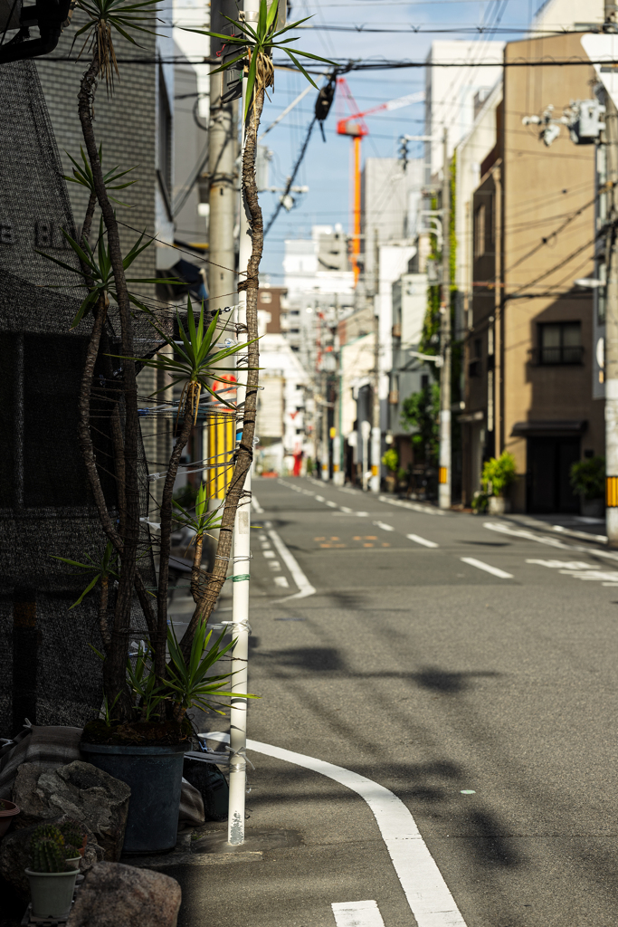 曲がり角の肖像