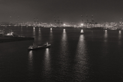 Container Port