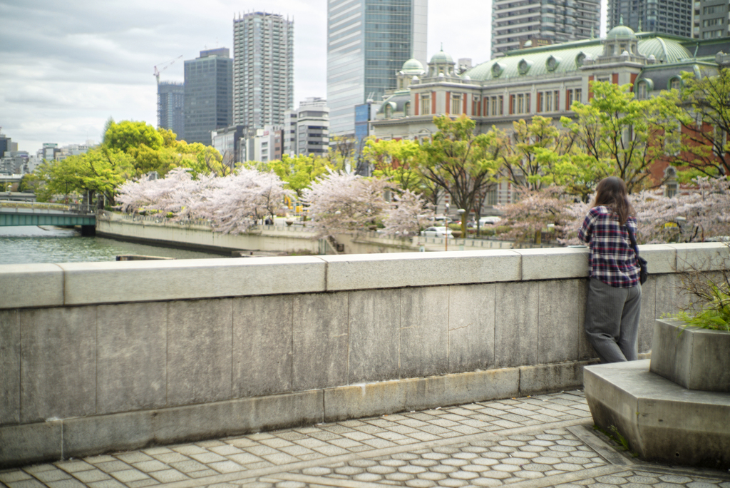 Spring's Snaps with Old Sonnar