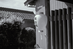 前略御先祖様