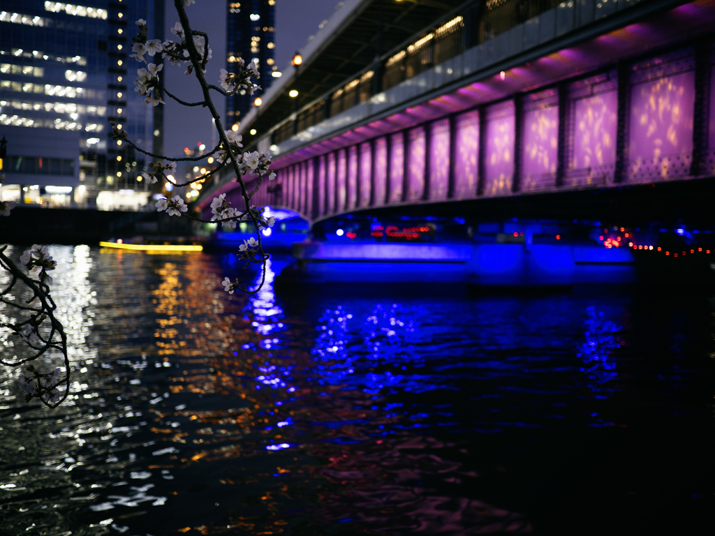 桜色の天満橋