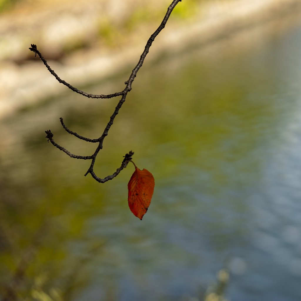 october colors