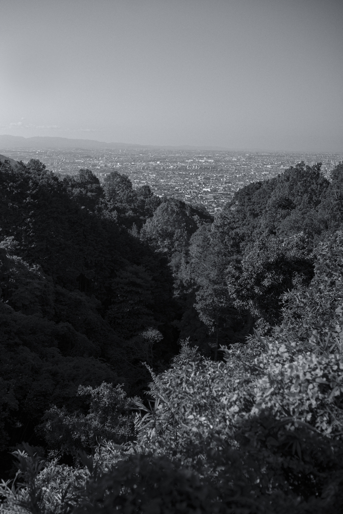 非・東山魁夷やクリスチャンラッセン的な世界観