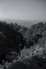 非・東山魁夷やクリスチャンラッセン的な世界観