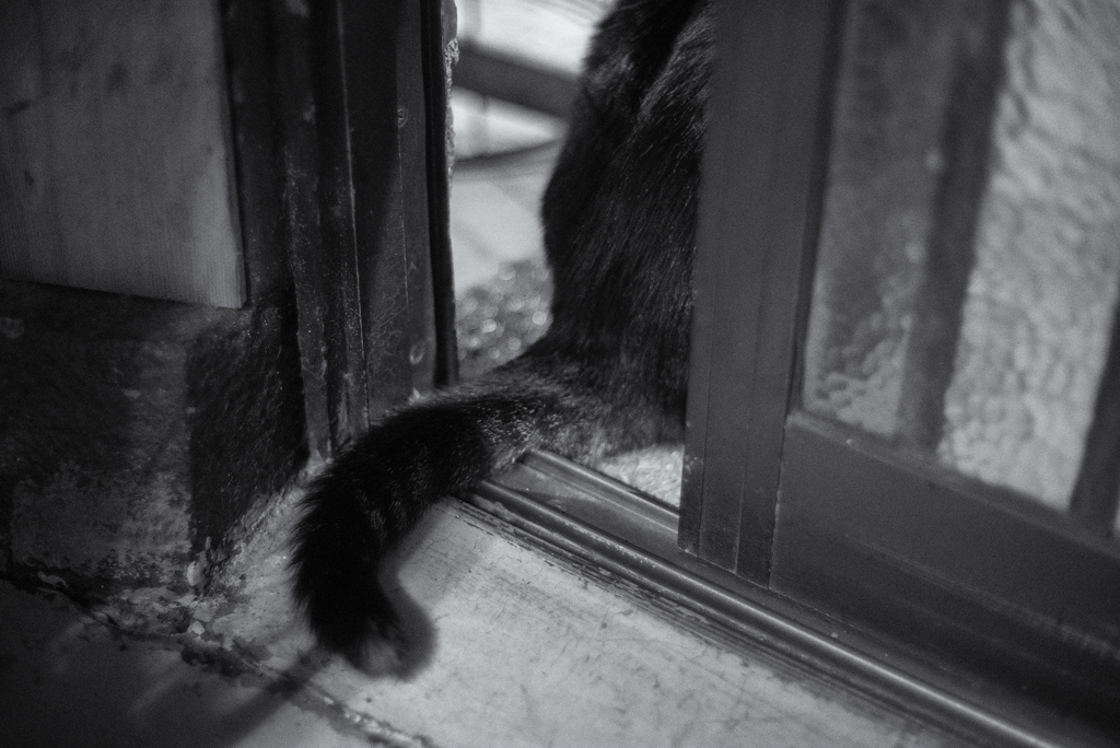 Nekosm