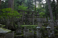 Mt. KOYA