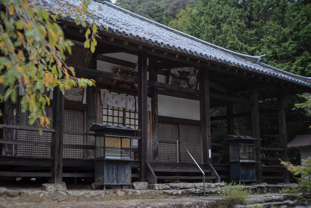 學晶山