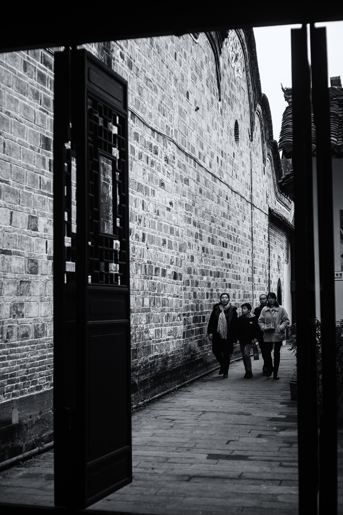 monochrome - a true in the shadow