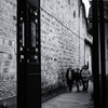 monochrome - a true in the shadow