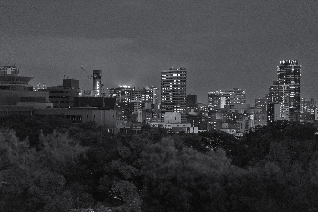 SIGHT OF NIGHT OSAKA CENTRAL