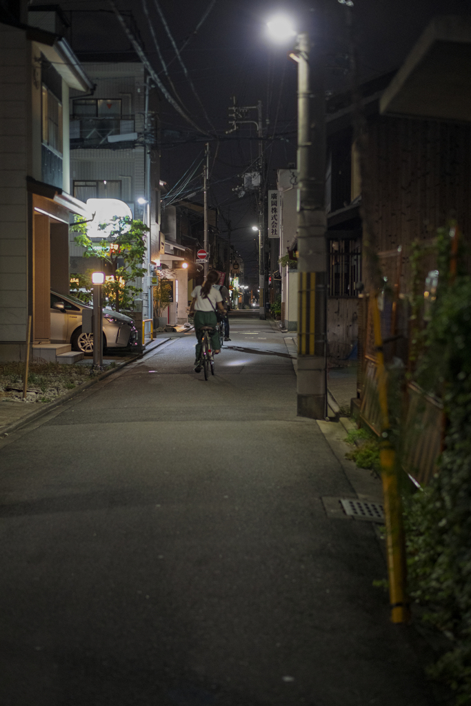 京都 --  格調高くて田舎臭く、そして官能的