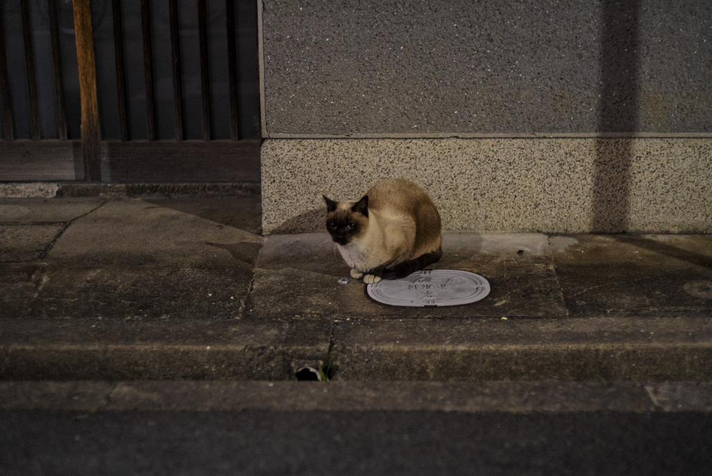 Nekosm