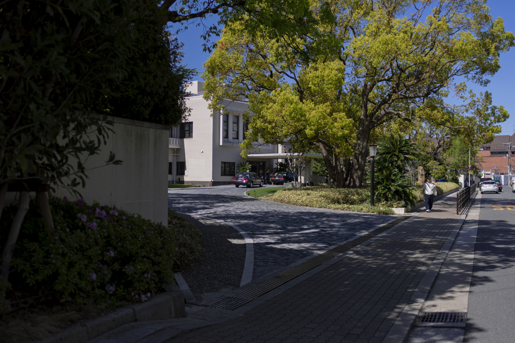 Straight Photography of 24mm sonnar