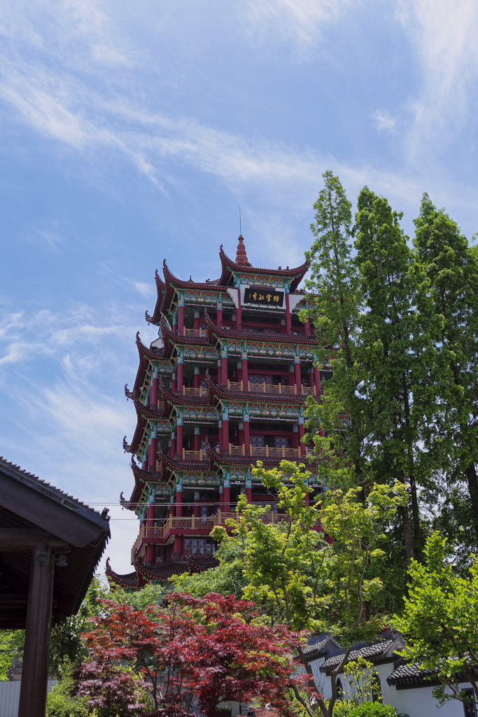 APS-Cでの解像感　または　高画素化の弊害