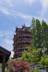 APS-Cでの解像感　または　高画素化の弊害