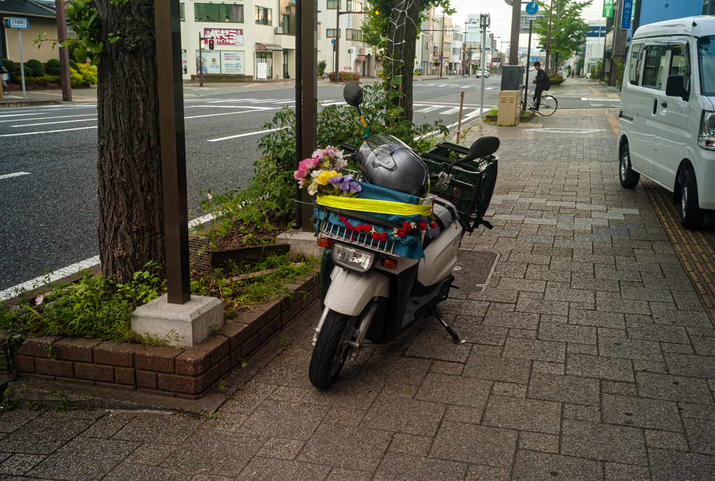 tiny-nomad 090-100 : ULTIMATE CUB