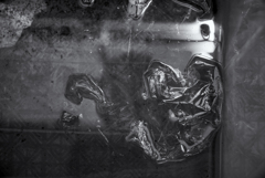 階調とテクスチャに満ちた世界