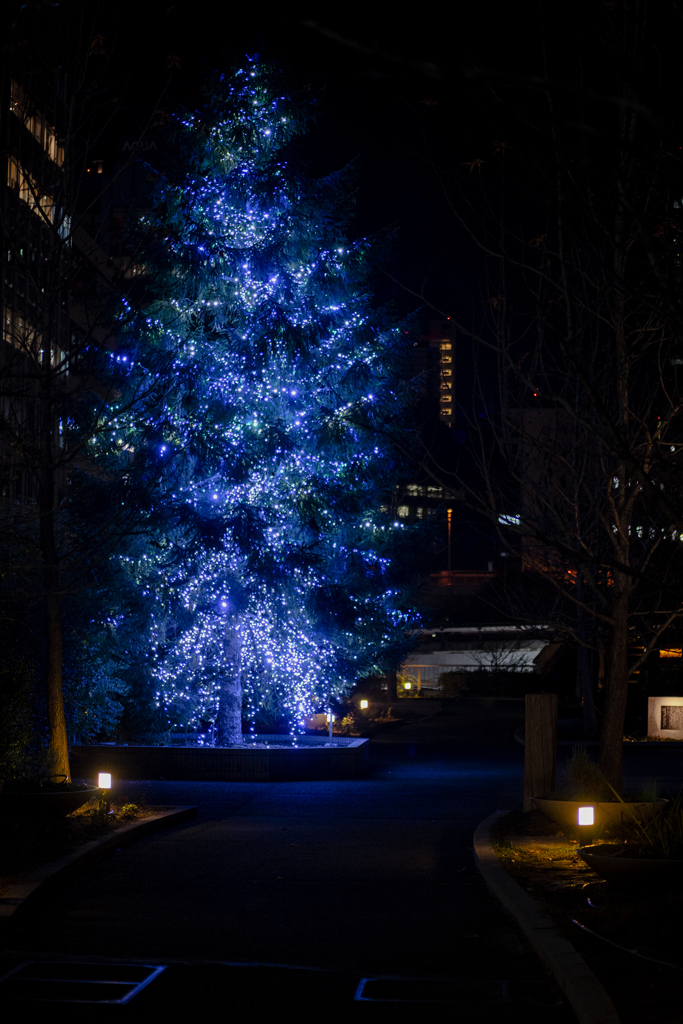 december
