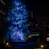 december