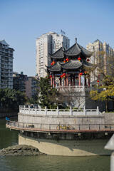 olympus zuiko auto-macro 50mm f/2