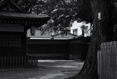 sound of silence