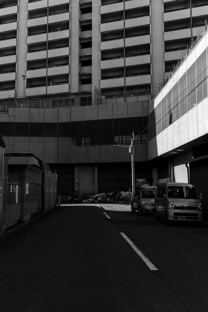 白昼夢 ii