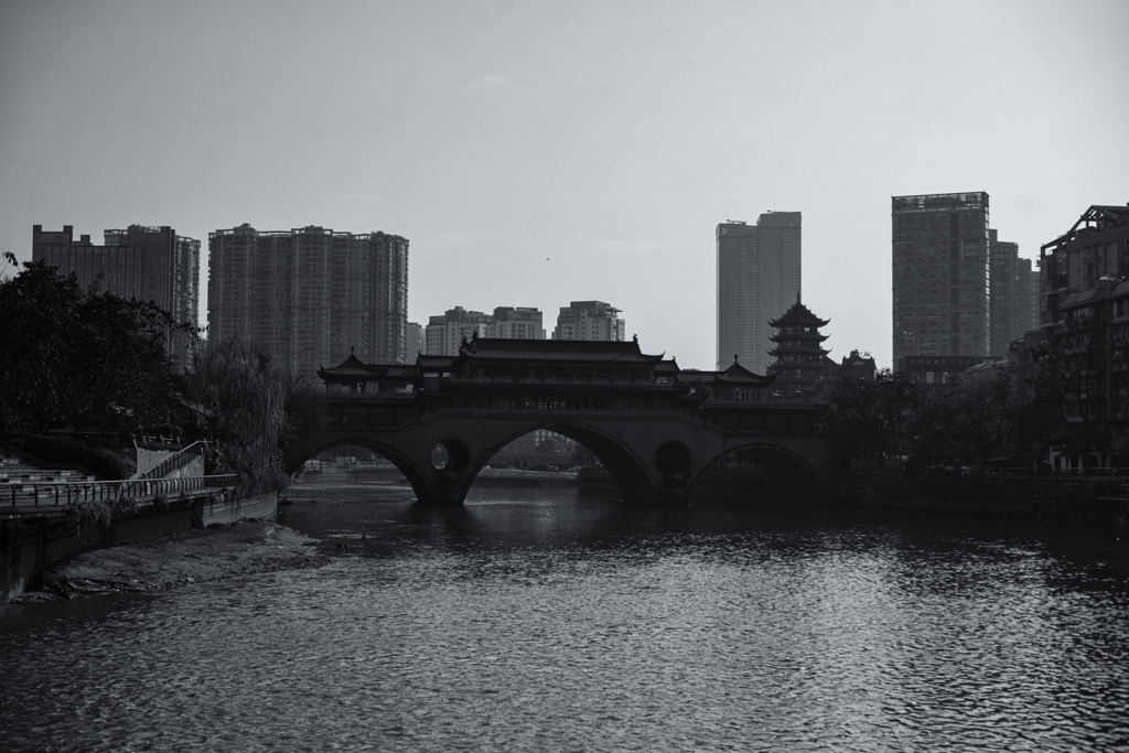 monochrome - a true in the shadow