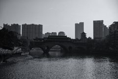 monochrome - a true in the shadow