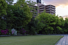大正区の静かな庭園 -- 大阪みどりの百選・泉光園
